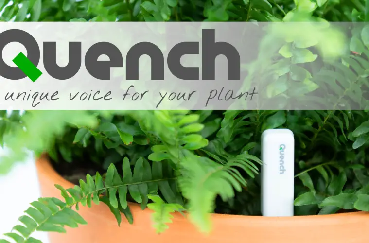 quench moisture meter kickstarter review