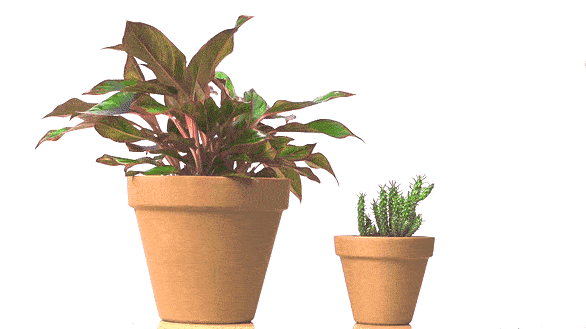 quench sizes for regular and large pots