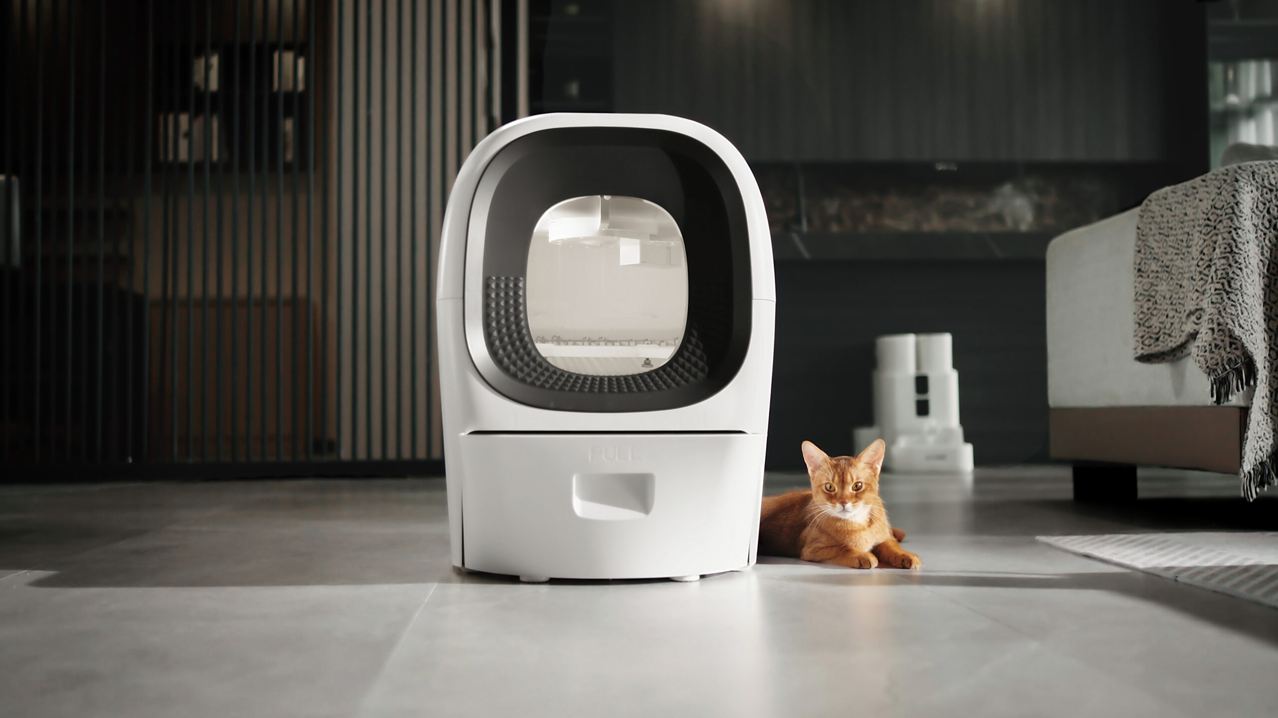 Kitty Litter No More: Real Scooper's Game-Changing Tech » CoolBacker